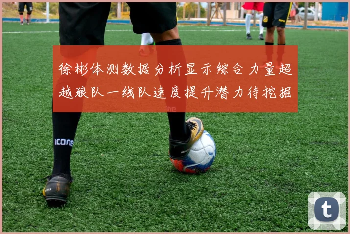 徐彬体测数据分析显示综合力量超越狼队一线队速度提升潜力待挖掘