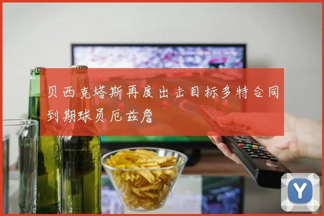 贝西克塔斯再度出击目标多特合同到期球员厄兹詹
